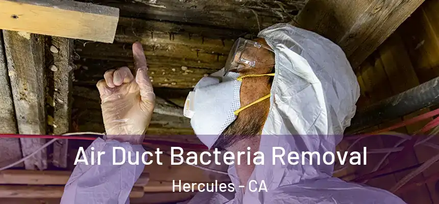  Air Duct Bacteria Removal Hercules - CA