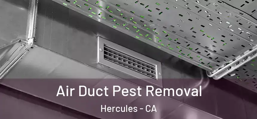  Air Duct Pest Removal Hercules - CA