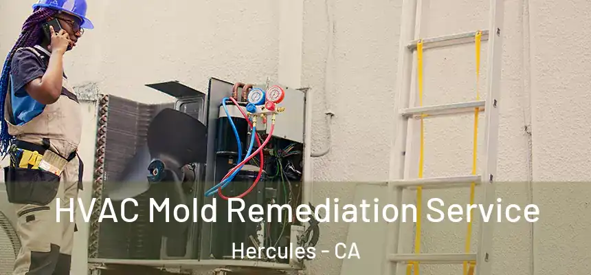  HVAC Mold Remediation Service Hercules - CA