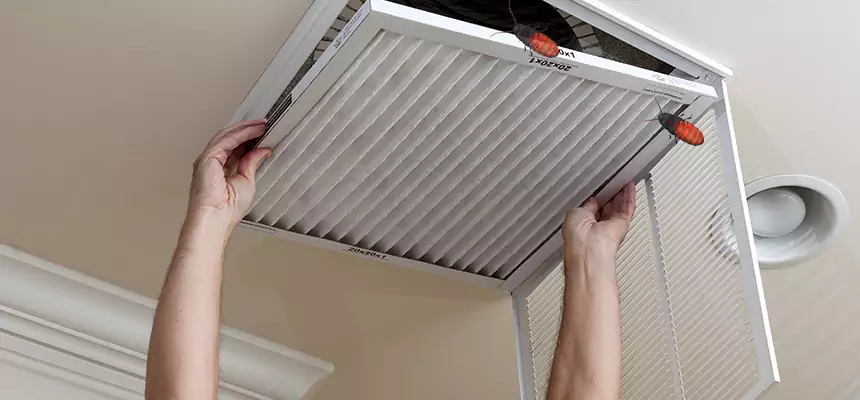 Preventive Cockroach-Proofing for Ducts in Hercules