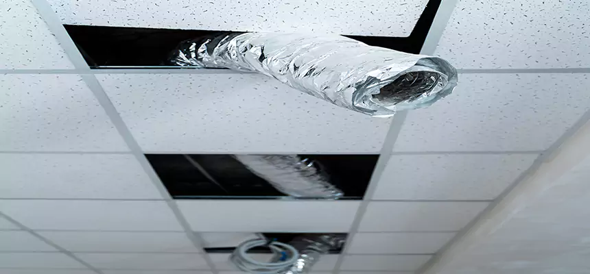 Affordable HVAC Sanitizing After Pest Removal in Hercules