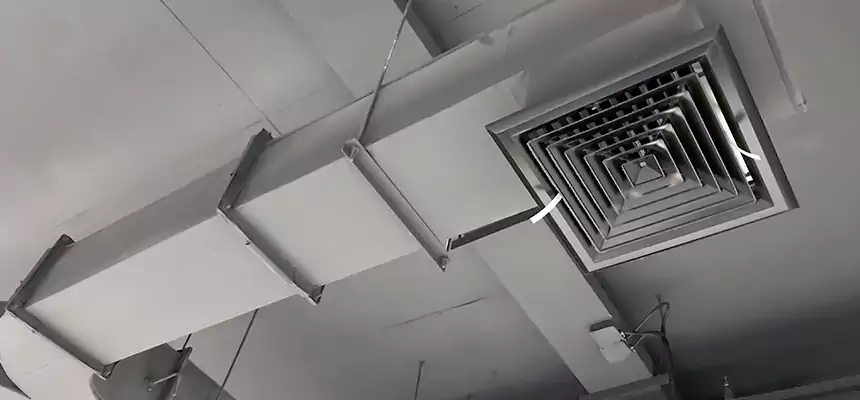 Restorative Allergy Relief Vent Cleaning – Coil, Blower & Housing Detail in Hercules