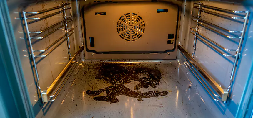 Our Dryer Vent Mold Cleaning Services in Hercules, CA