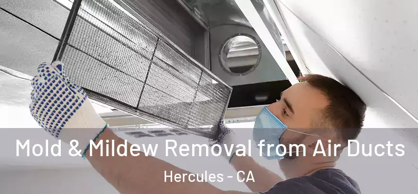  Mold & Mildew Removal from Air Ducts Hercules - CA
