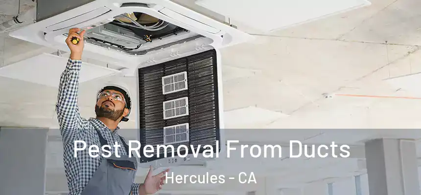  Pest Removal From Ducts Hercules - CA
