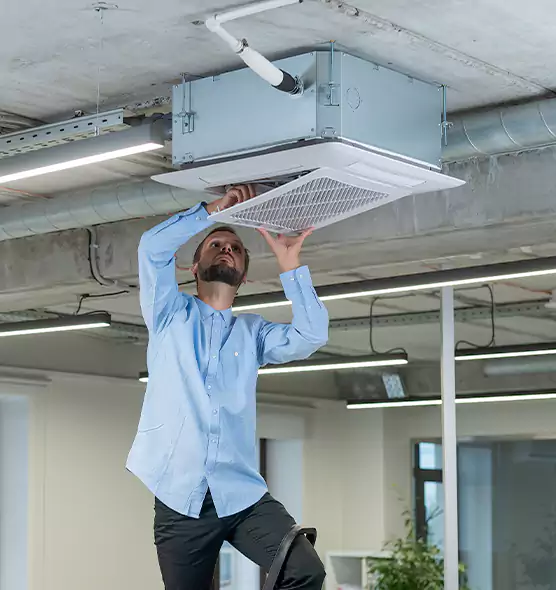 Advanced Rodent Droppings In Vents in Hercules, CA