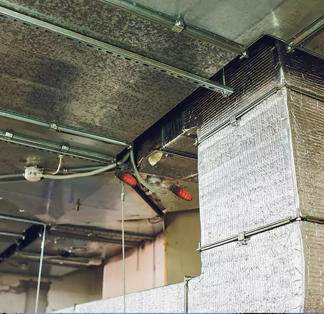 Why Homeowners & Businesses Trust Us Hercules, CA?