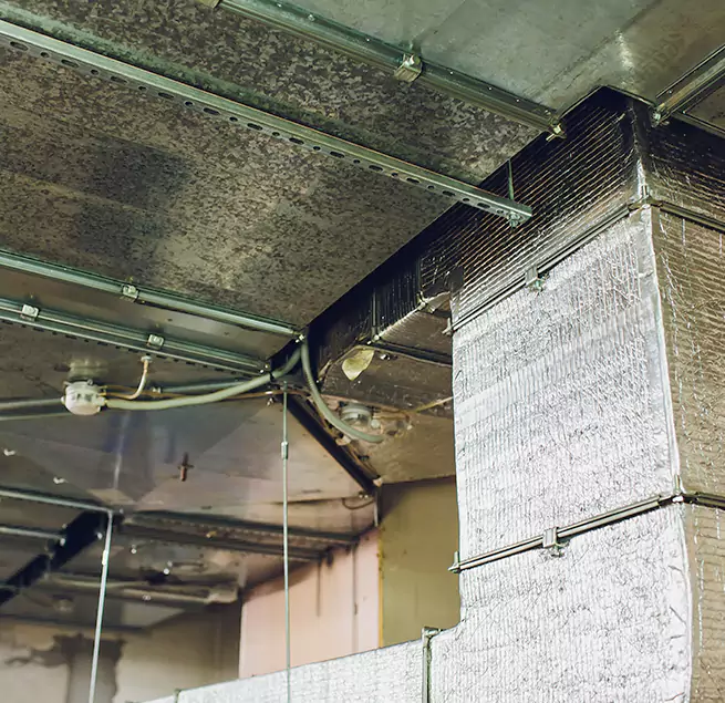 Why Homeowners & Businesses Trust Us in Hercules, CA?